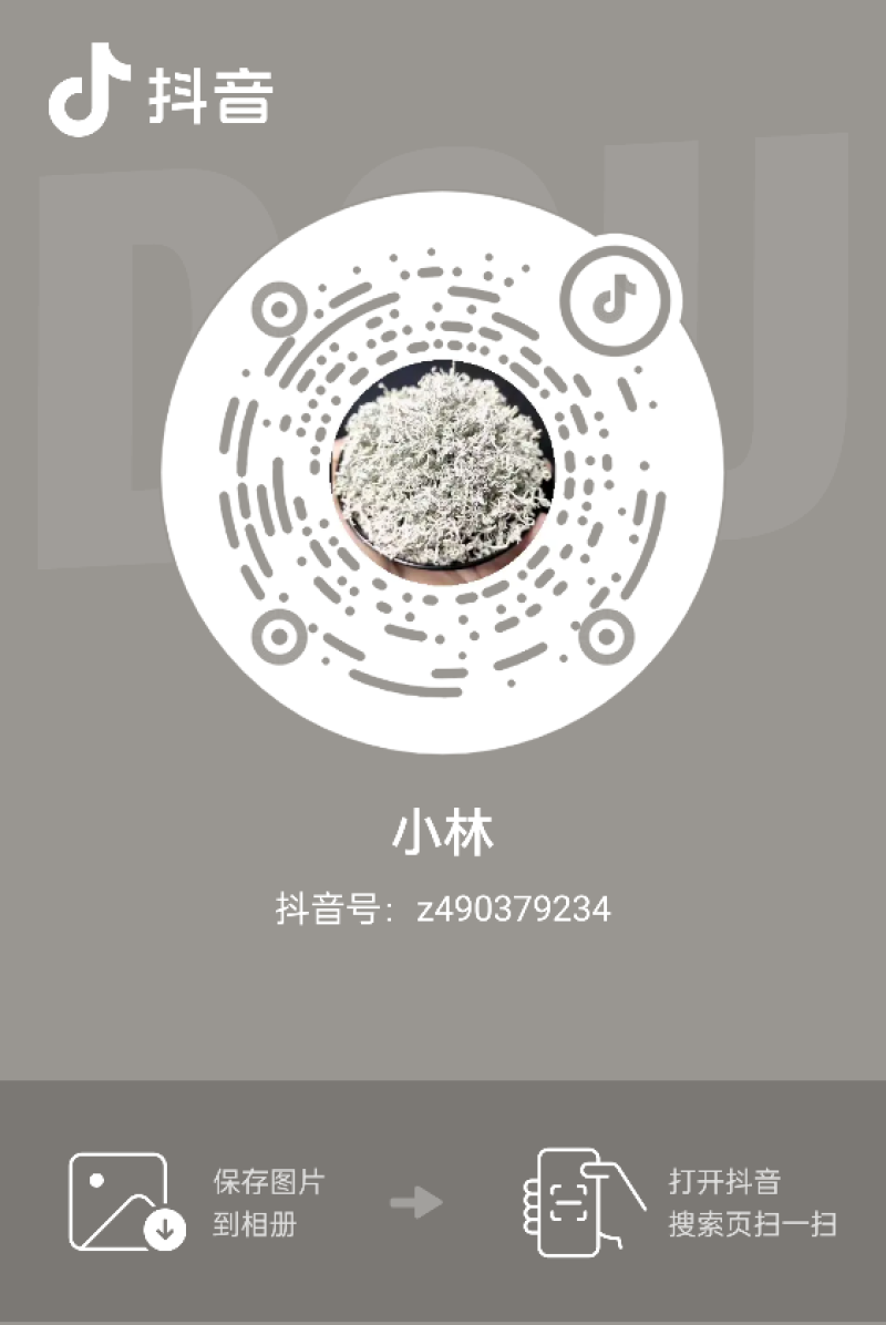 张家界藤茶嫩芽明前野生自产自销回味悠长