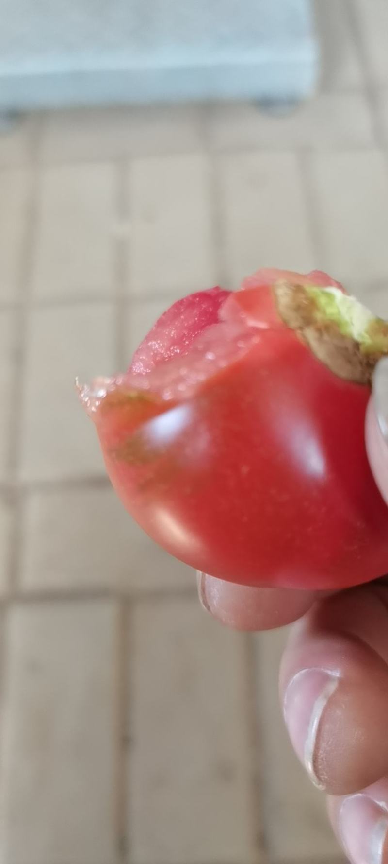 草莓柿子酸酸甜甜就是我