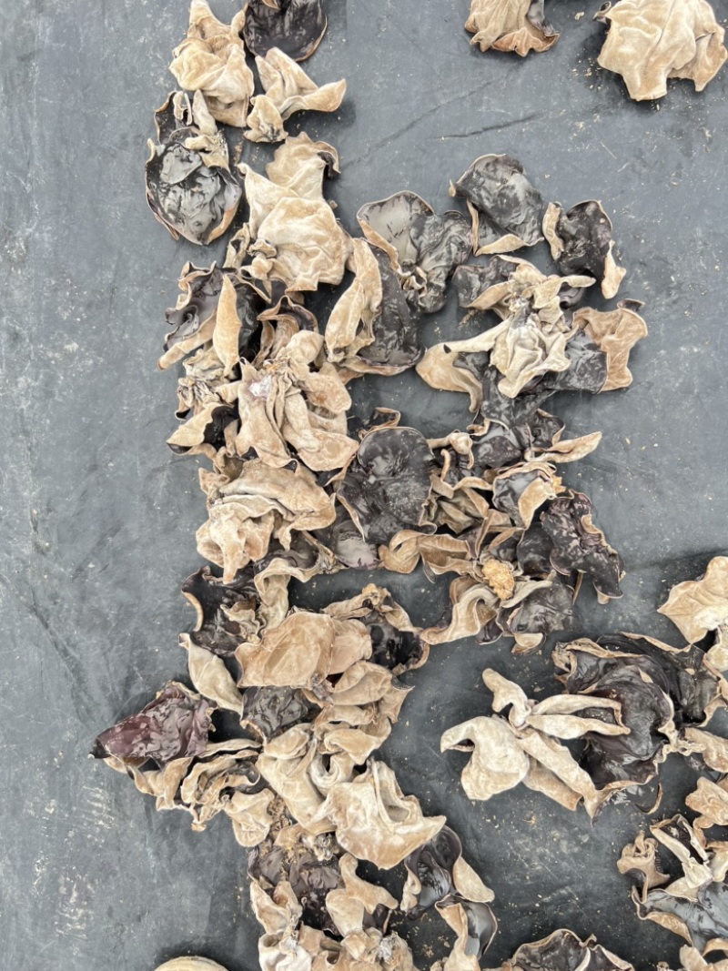 自产自销毛木耳（干货）过筛头茬产品