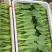 小青菜，叶片大颜色绿，直立性好，梗青
