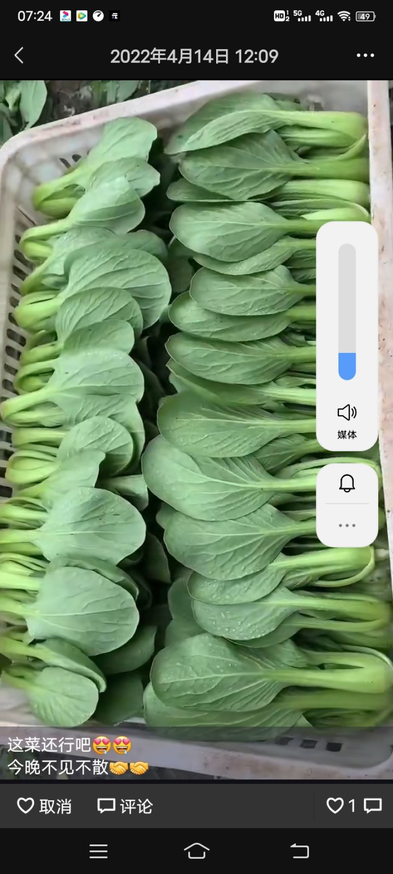 小青菜，叶片大颜色绿，直立性好，梗青