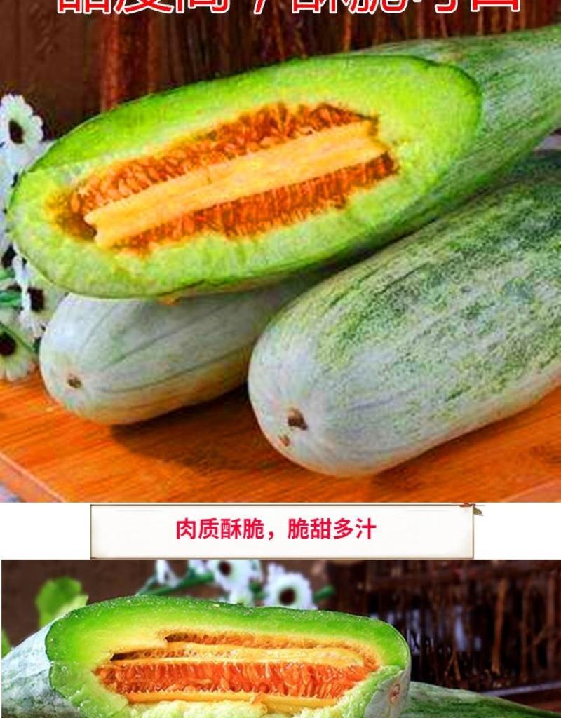 羊角酥甜瓜种子10克/袋酥脆甜酥，甜，脆！