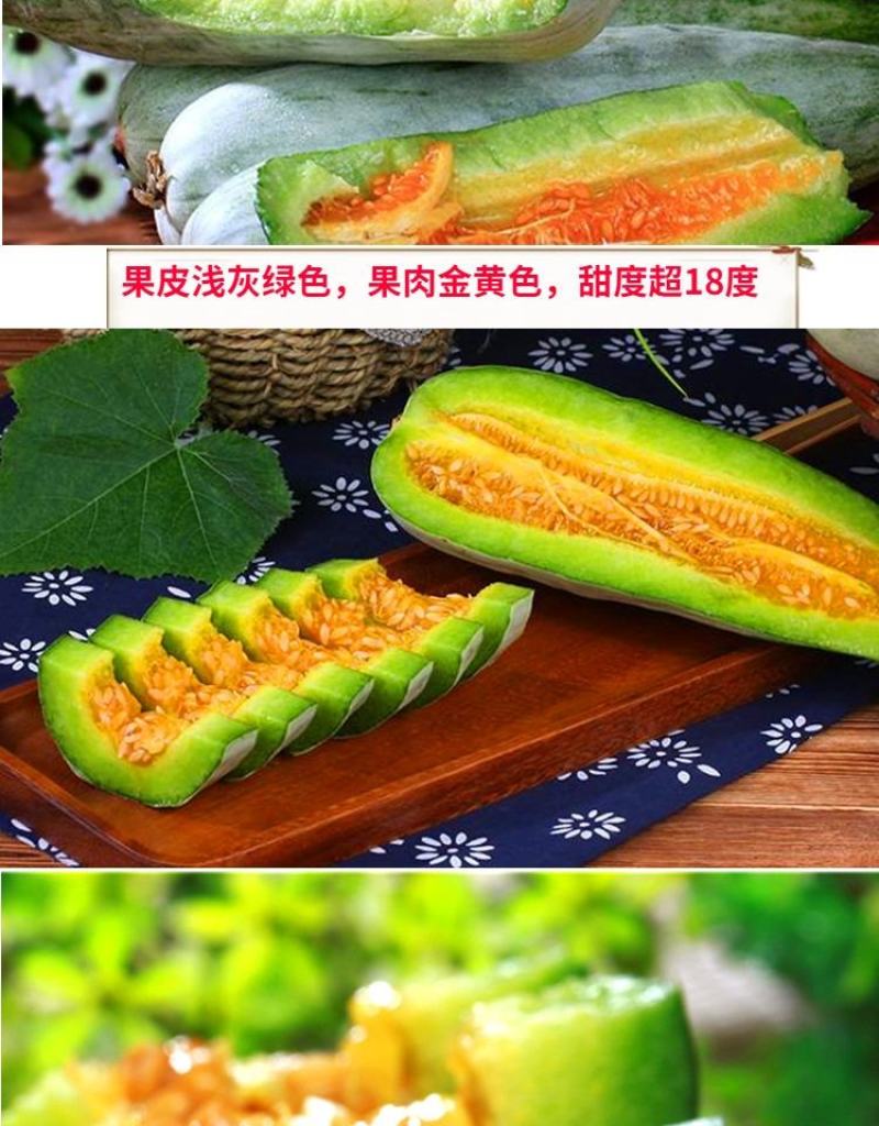 羊角酥甜瓜种子10克/袋酥脆甜酥，甜，脆！
