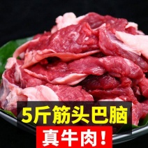 【冷链包邮】正宗黄牛肉筋头巴脑牛肉块牛碎肉批发餐饮团购