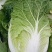 白菜大量上市
