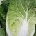 白菜大量上市