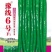 豫线6号线椒种子平均30厘米颜色亮绿，顺直，