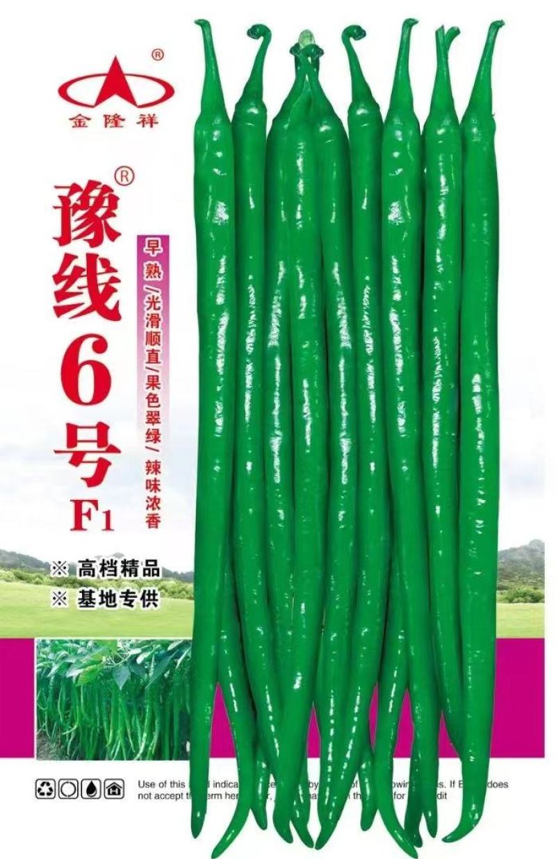 豫线6号线椒种子平均30厘米颜色亮绿，顺直，