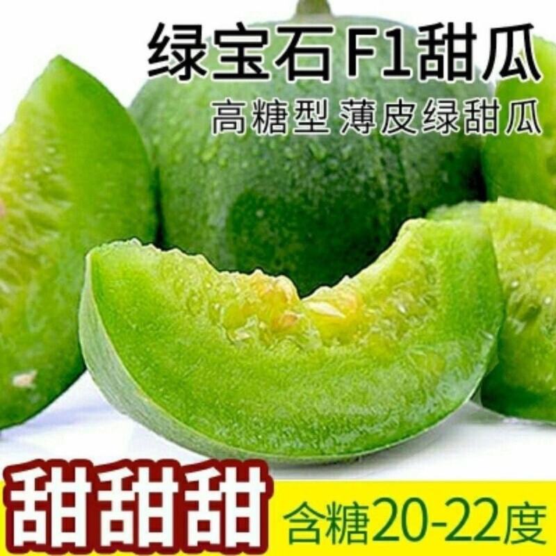 绿宝石甜瓜种子10克/袋一袋包邮绿宝石甜瓜种子