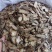 三七片文山三七无硫不打蜡人工切片统货选货地道中药