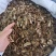 三七片文山三七无硫不打蜡人工切片统货选货地道中药