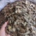 三七片文山三七无硫不打蜡人工切片统货选货地道中药