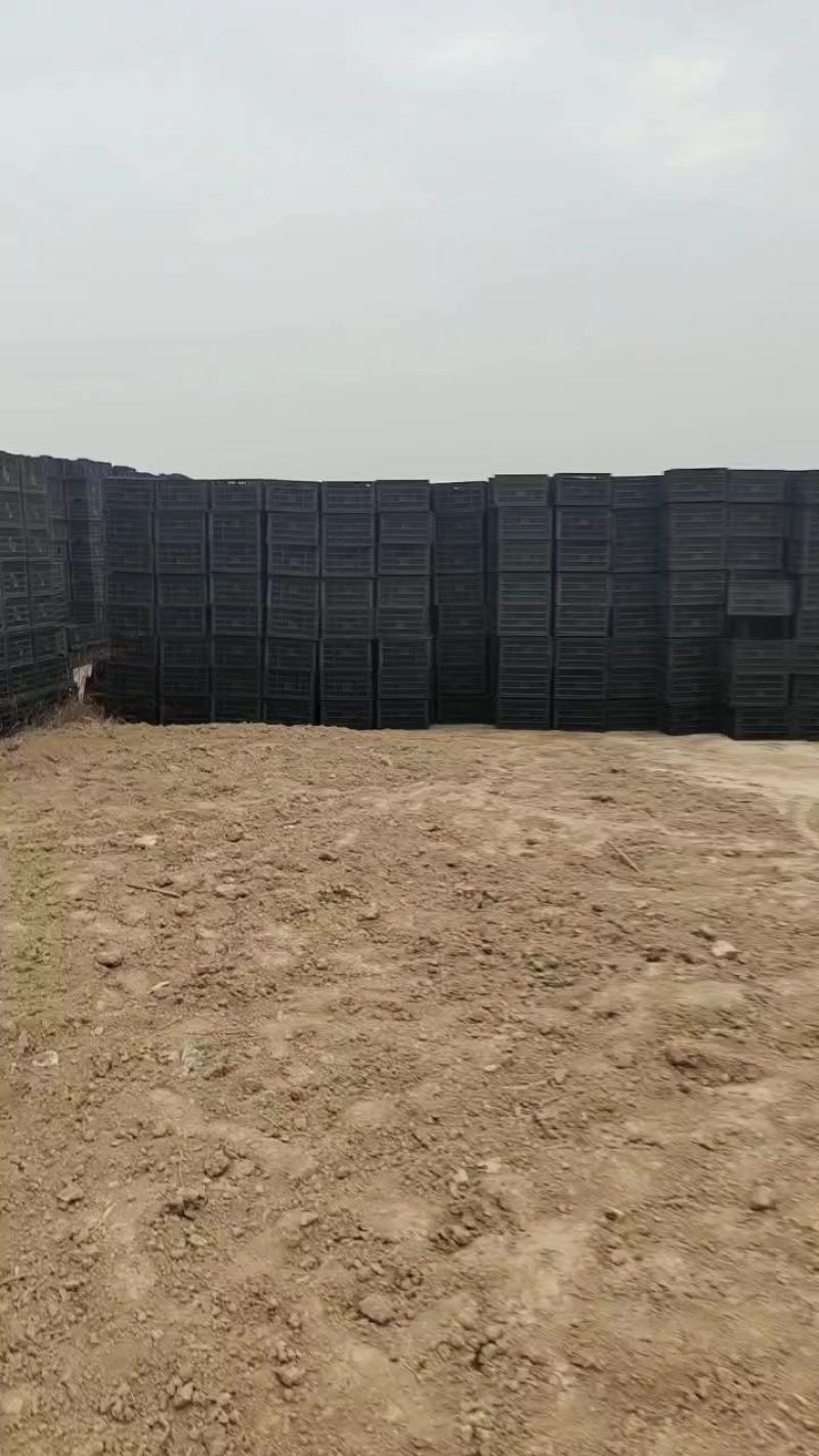 水果筐