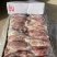 新鲜牛肉小黄牛牛腱肉5斤10斤(商用过来谈给你优惠）