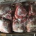 新鲜牛肉小黄牛牛腱肉5斤10斤(商用过来谈给你优惠）