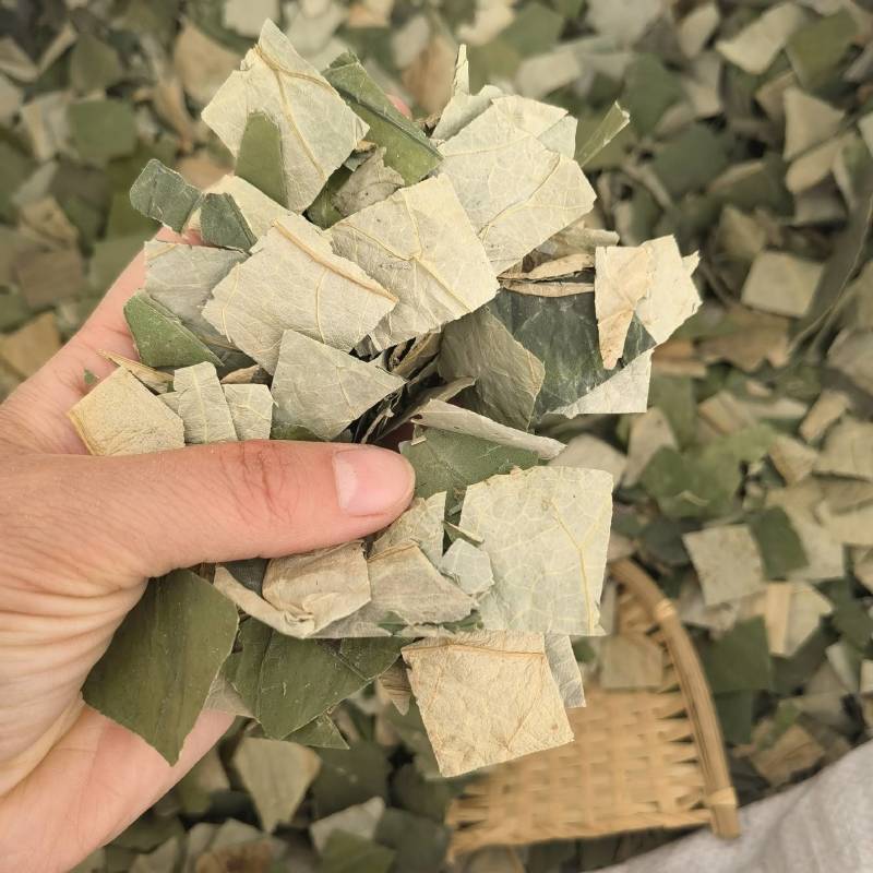 荷叶实物拍摄物美价廉质量保证今年新货百信药业