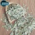 荷叶实物拍摄物美价廉质量保证今年新货百信药业