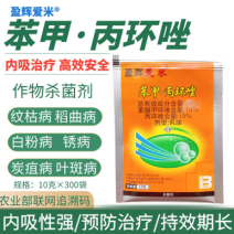 苯甲丙环唑果树小麦水稻纹枯病白粉病稻曲病叶斑病农药杀菌剂