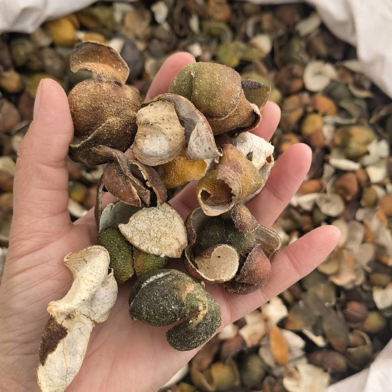 四花青皮重在品质优选货质量保证量大从优百信药业