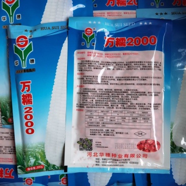 万糯2000糯玉米种子正规品种杜绝假冒大厂家有保证证件