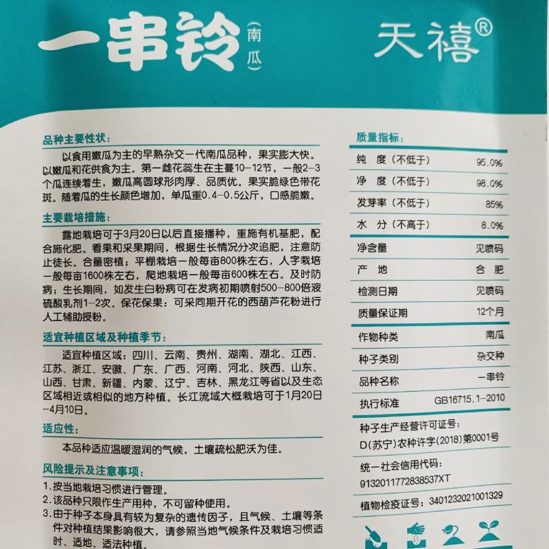 一串铃花蓝早熟嫩南瓜种子嫩早串铃南瓜优质菜南瓜种籽圆形