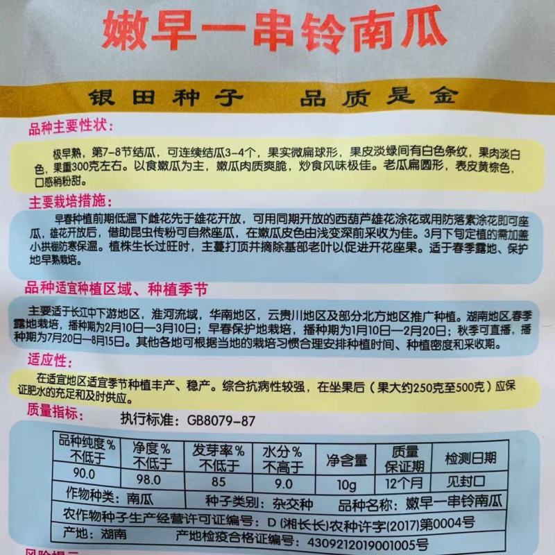 一串铃花蓝早熟嫩南瓜种子嫩早串铃南瓜优质菜南瓜种籽圆形