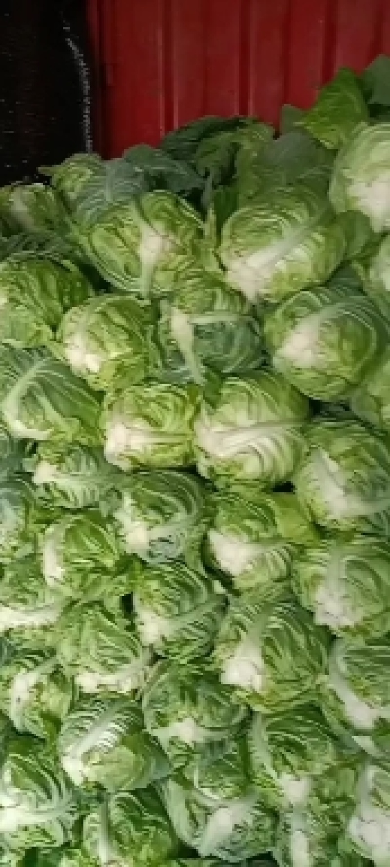 尖包