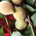青橄榄果新鲜来自农民自种的，2斤为一件批发包邮。