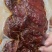 酱香肉，腱子肉开袋即食一斤一袋装价格美丽厂家直销批发