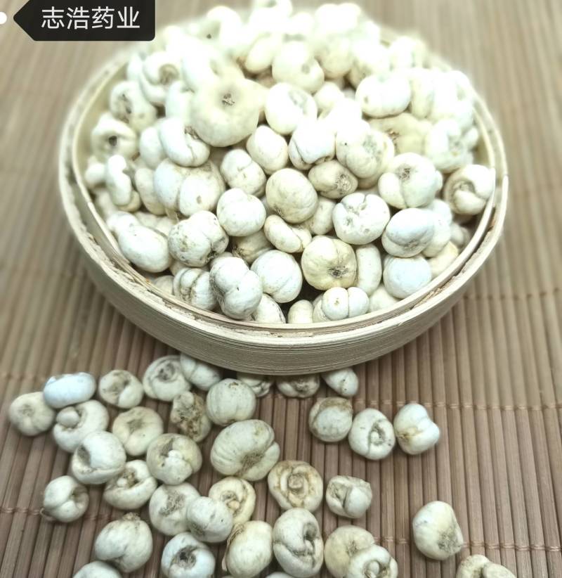 【志浩药业】僵蚕各种中药材养生花茶批发诚信经营地道药材