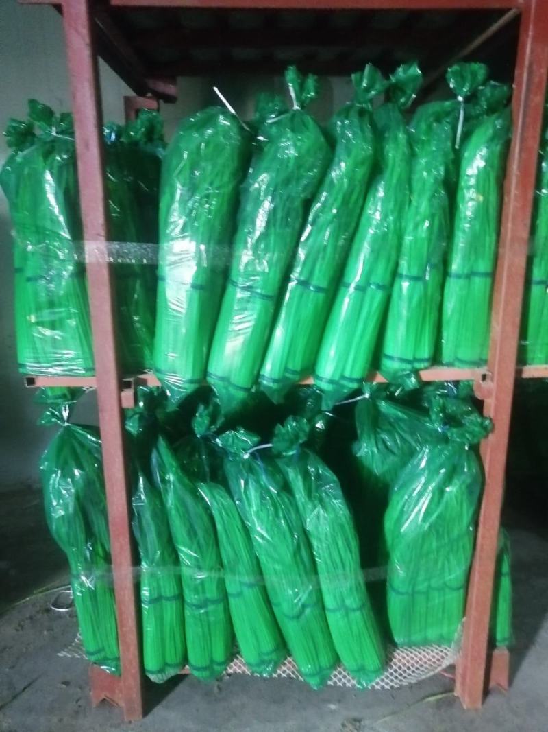 蒜苔全国发货，基地直供优质红帽蒜苔保证质量价格低