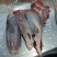 新鲜牛肉小黄牛牛腱肉5斤5斤(商用过来谈,优惠包邮