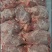 新鲜冷冻牛腱肉鲜牛肉牛龟健50斤内蒙古牛展牛腱子肉