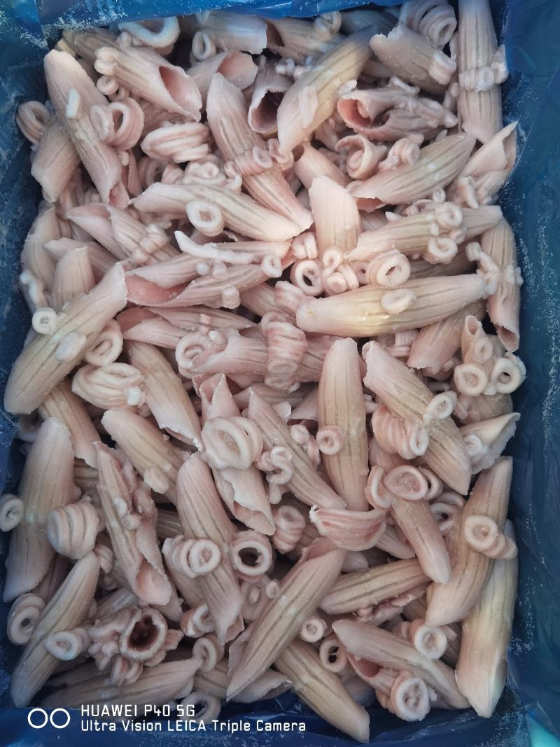 鱿鱼牛角花，可根据要求定做