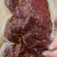 酱香肉，腱子肉开袋即食一斤一袋装价格美丽厂家直销批发