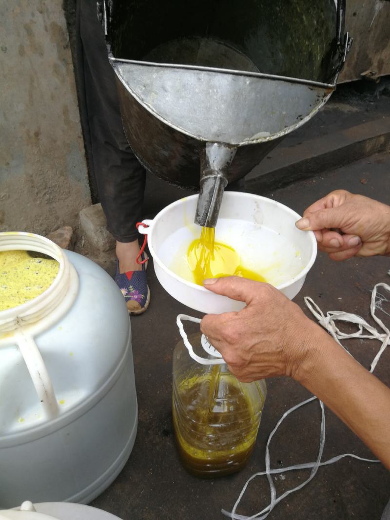 【精选】四川油菜籽，出油量高，颗粒饱满，无杂质，量大从优