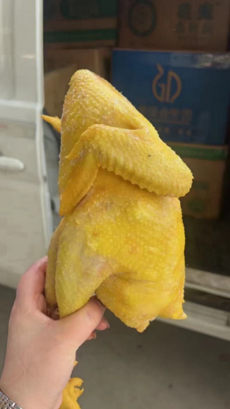 盐焗产品盐焗鸡一跑山鸡，一只有2斤多八成熟厂家直销