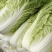 山西精品黄心大白菜，无虫无烧心，质量保证