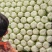 山西精品黄心大白菜，无虫无烧心，质量保证