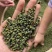 四川特色青花椒，味道纯香味浓产地直销批发