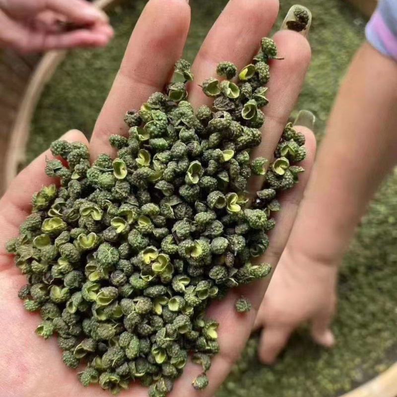 四川特色青花椒，味道纯香味浓产地直销批发