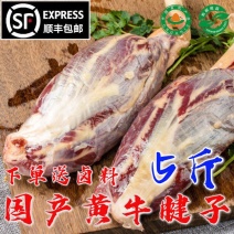 新鲜现杀牛腱子肉5斤农家散养黄牛肉纯正牛腿腱子肉5斤