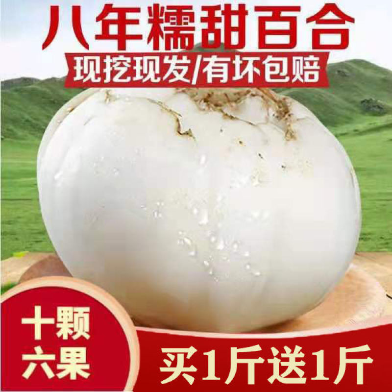 大家好:我家百合一手货源，批发零售诚信第一品质保证有坏包
