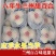 大家好:我家百合一手货源，批发零售诚信第一品质保证有坏包
