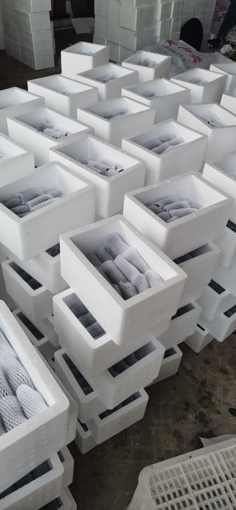福建杨梅漳州浮宫新鲜水果批发京东航空一件代发