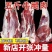 新鲜牛腿肉正宗散养黄牛腿肉新鲜微调理不拼接5斤装新鲜