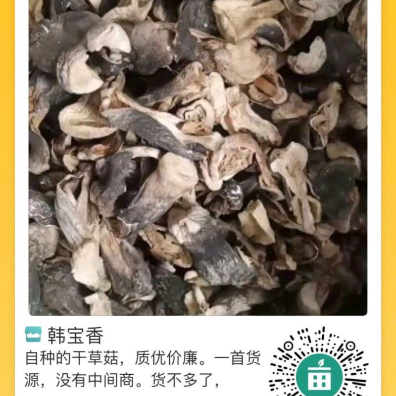 自种干草菇，质优价廉，一首货源，没有中间商。