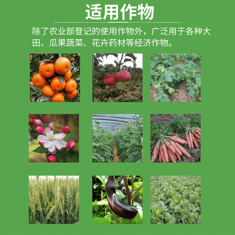 30%噻虫嗪水稻飞虱专用蚜虫蓟马梨木虱叶蝉跳甲果蔬菜农药