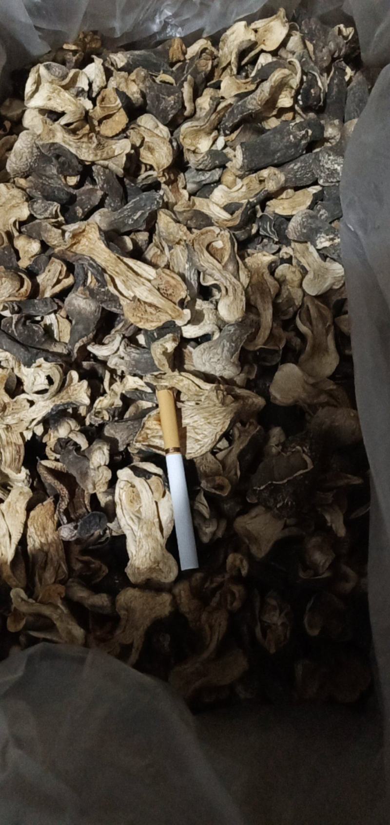 自种干草菇，质优价廉，一首货源，没有中间商。