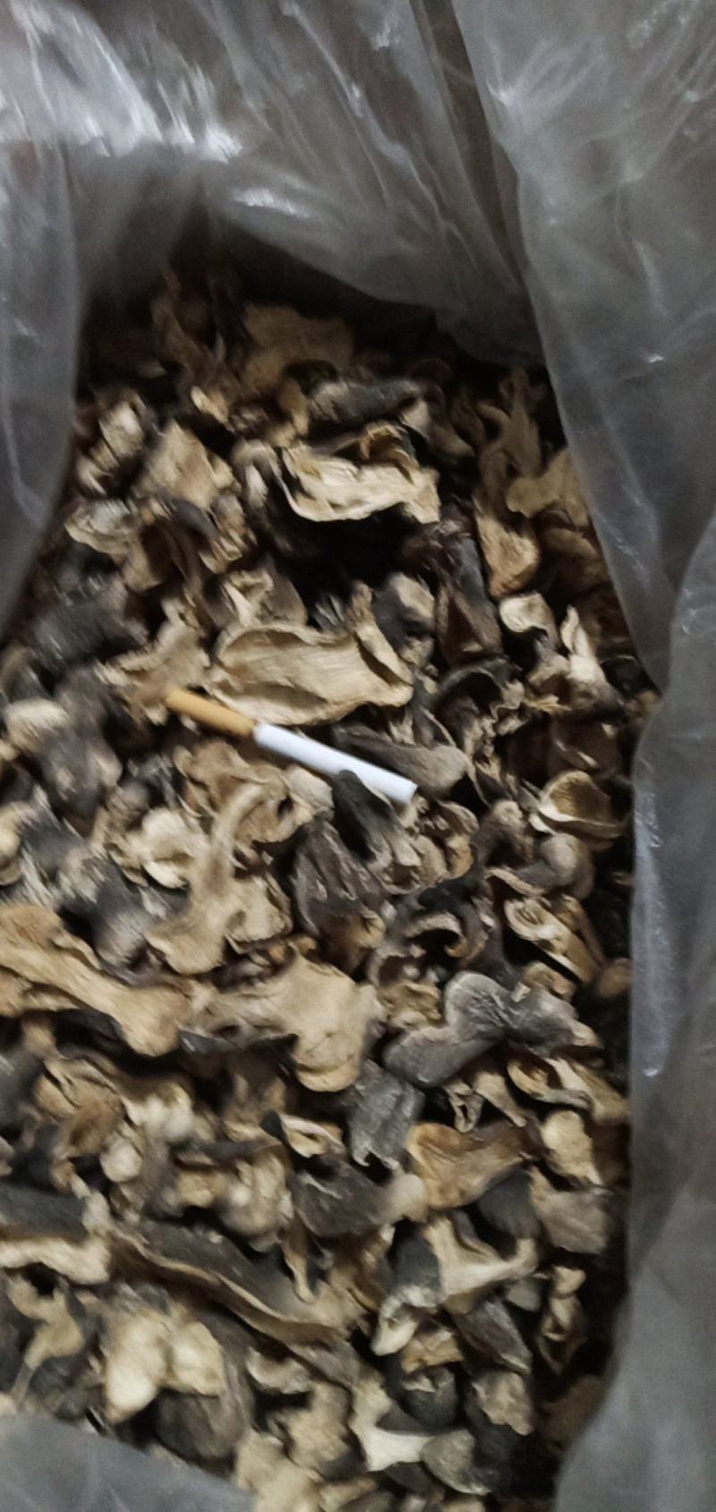 自种干草菇，质优价廉，一首货源，没有中间商。
